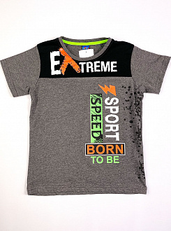 Футболка Patika Kids Extreme темно-сіра 6012 - ціна