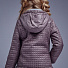 Демісезонна куртка єврозима для дівчинки Zironka сіра 2050-2 - фото