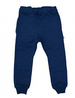 Спортивні штани для хлопчика Minikin сині 2177207 - ціна