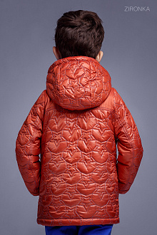 Куртка для хлопчика Zironka помаранчева 2046-2 - картинка
