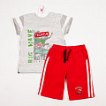 Комплект для мальчика (футболка+шорты) Фламинго серый 905-110 - ціна