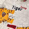 Комплект футболка і шорти для хлопчика Breeze Tiger сірий 14379 - купити