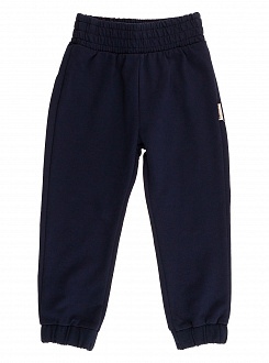 Спортивні штани для хлопчика Robinzone темно-сині ШТ-133 - ціна